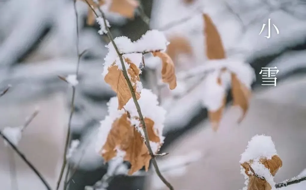 Малък сняг – какво да знаете